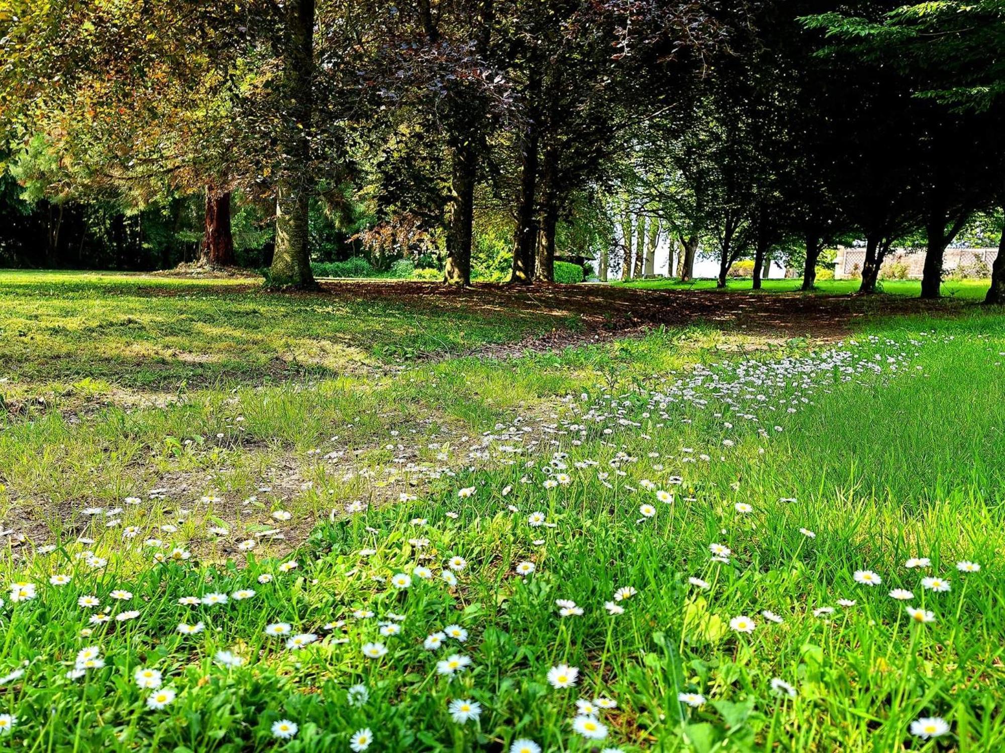 Domaine De L'Isle Maniere Διαμέρισμα Saint-Quentin-sur-le-Homme Εξωτερικό φωτογραφία